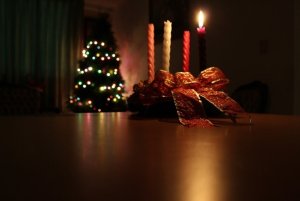 Crédit photo : Bárbara Hernández